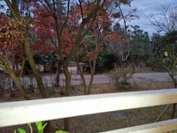 오일장신문닷컴