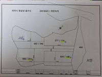 제주한방공인중개사