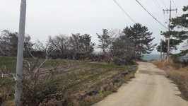 오일장신문닷컴