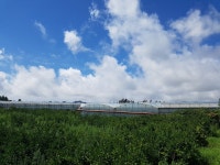 노리매공인중개사사무소