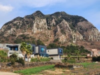 오일장신문