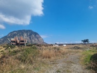 봄날에공인중개사사무소