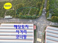 오일장신문