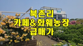 오일장신문