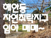 오일장신문
