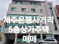 제주그린공인중개사