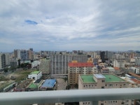 오일장신문