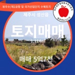 오일장신문 - 부동산