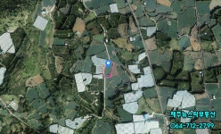 제주뉴스타부동산