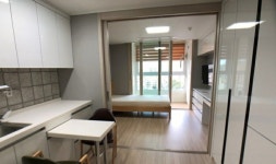 오일장신문닷컴