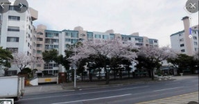 오일장신문