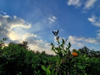 오일장신문닷컴