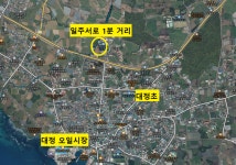 오일장신문