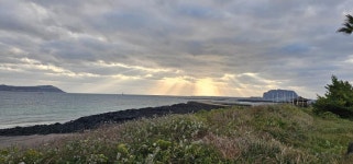 제주나래공인중개사사무소