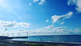 신우공인중개사사무소