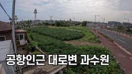 나우제주공인중개사사무소