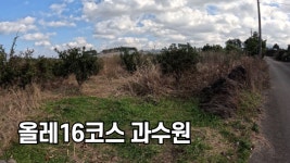 나우제주공인중개사사무소