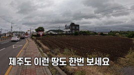 나우제주공인중개사사무소