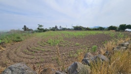 오일장신문