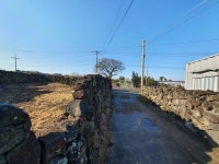 오일장신문닷컴