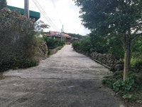 오일장신문
