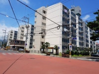 오일장신문닷컴