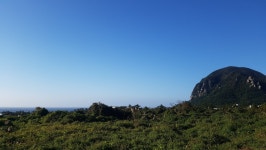 오일장신문닷컴