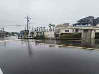 오일장신문