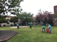 시정뉴스>읍면동소식>읍면동소식 - 제주시