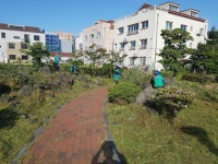 시정뉴스>읍면동소식>읍면동소식 - 제주시