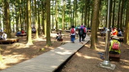 시정뉴스>소통제주시>보도자료 - 제주시