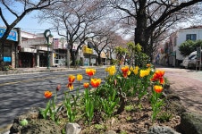 갤러리 - 커뮤니티 - 삼도1동 - 동 - 제주시 제주시청