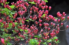 갤러리 - 커뮤니티 - 오라동 - 동 - 제주시 제주시홈페이지