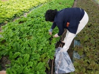 전북도청