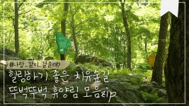힐링전북 | 전북생생TV