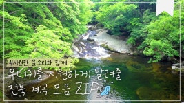 힐링전북 | 전북생생TV