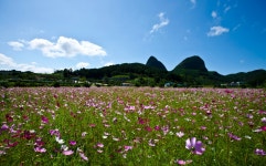 게시물 목록 페이지