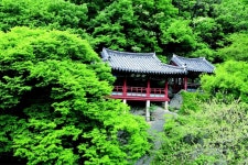 전북소식 > 이미지갤러리 > 이미지갤러리 > 목록 | 전북특별자치도