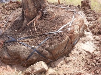 게시물 보기 페이지