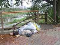 게시물 보기 페이지