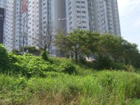 게시물 보기 페이지