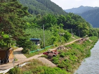 도정참여 > 도지사에게 바란다 > (구)도지사에게 바란다 | 전북특별자치도 온라인도지사실