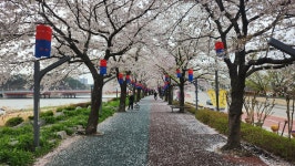 보도자료 > ‘페달 밟아 전북으로!’전북자치도 자전거 여행지 1번지 선도 - 상세보기 | 뉴스룸