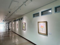 보도자료 > 전북자치도 인재개발원, 복도갤러리 통해 지역 문화 예술 홍보 앞장 - 상세보기 | 뉴스룸