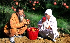 게시물 목록 페이지