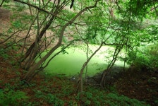 정읍관광 > 생태관광 > 월영습지와 솔티숲 > 월영습지