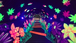 추천관광 > 체험관광 > 정읍사 달빛 사랑숲