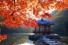 정읍관광 > 정읍보물(3味,6品,9景) > 1景 내장산 국립공원