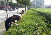 게시물 보기 페이지
