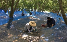 게시물 보기 페이지